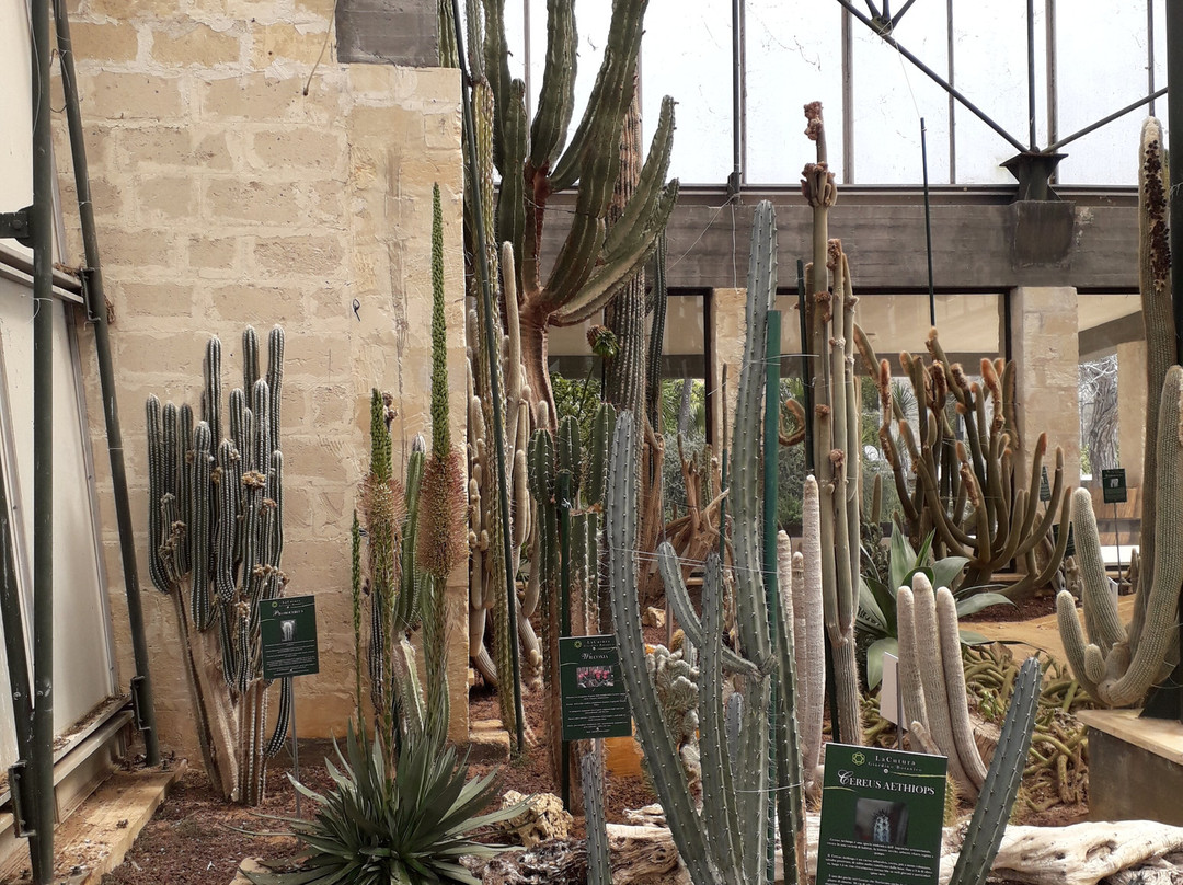 La Cutura Giardino botanico-Giuggianello必去景点