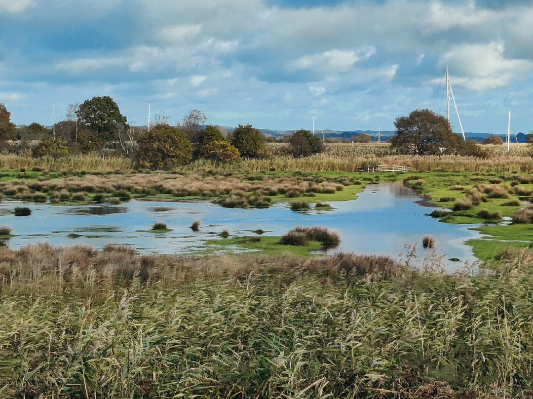 Birds Of Poole Harbour Events-普尔必去景点