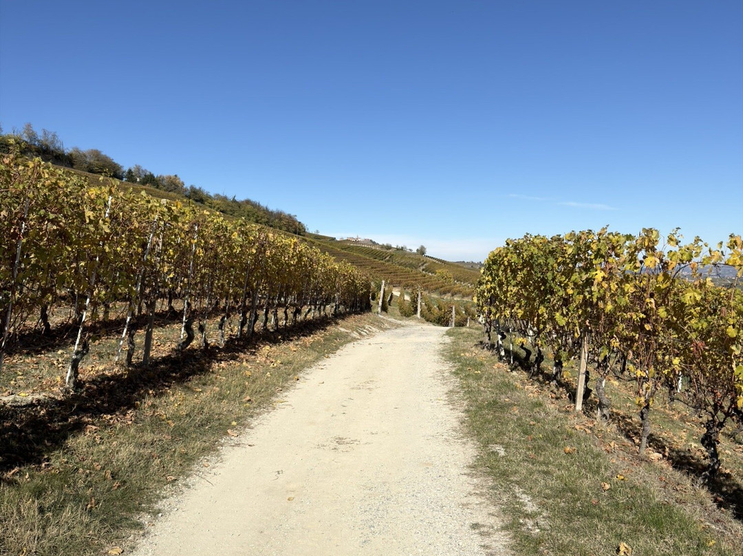 BikeSquare-Novello必去景点