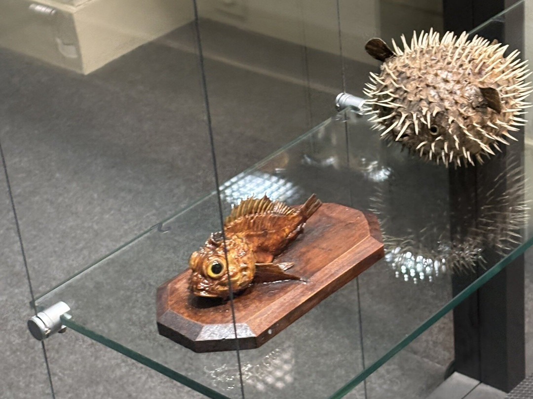 Musée Labenche-布里夫拉盖亚尔德必去景点