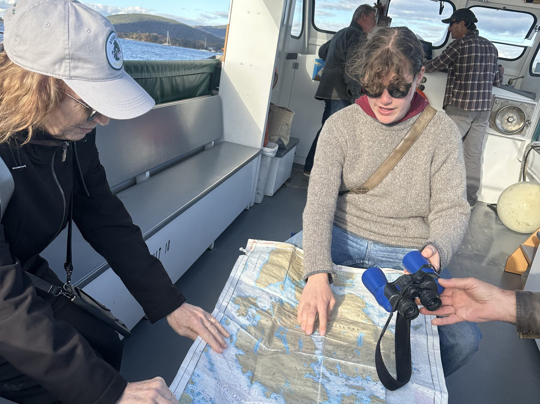 Sail Acadia-Southwest Harbor必去景点