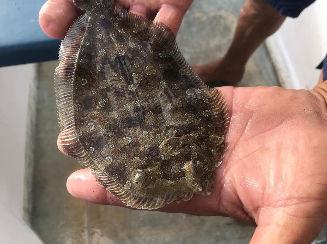 Pepe Boat Fishing Lanzarote-卡拉罗港口必去景点