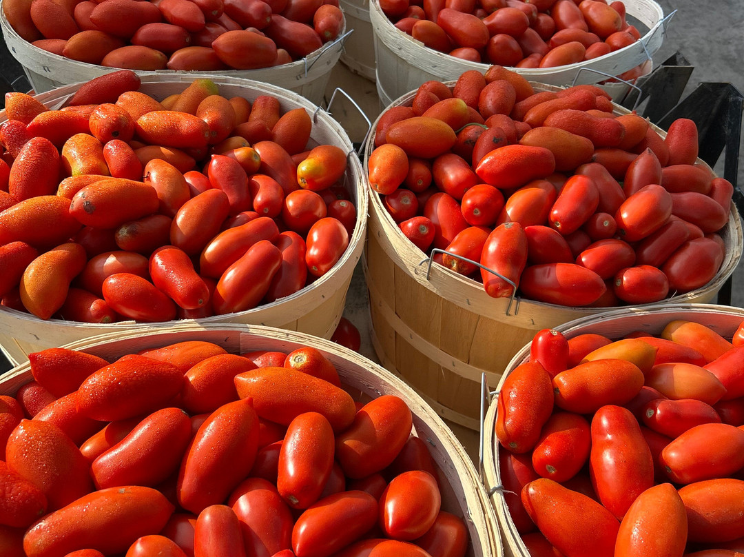 Farmer To You - Taylor Farms-邓达斯必去景点