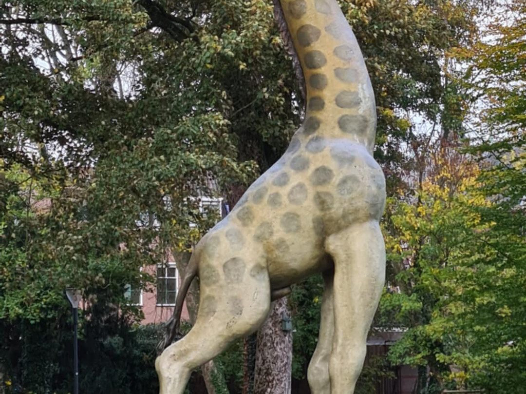 Zuiderpark Den Bosch-斯海尔托亨博斯必去景点