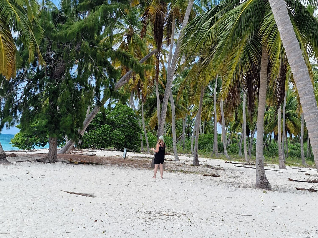 Mariposa Tours-Bayahibe必去景点