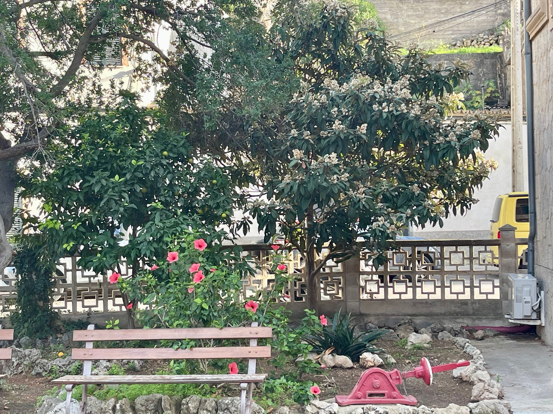 El Tren de Soller-马洛卡帕尔马必去景点