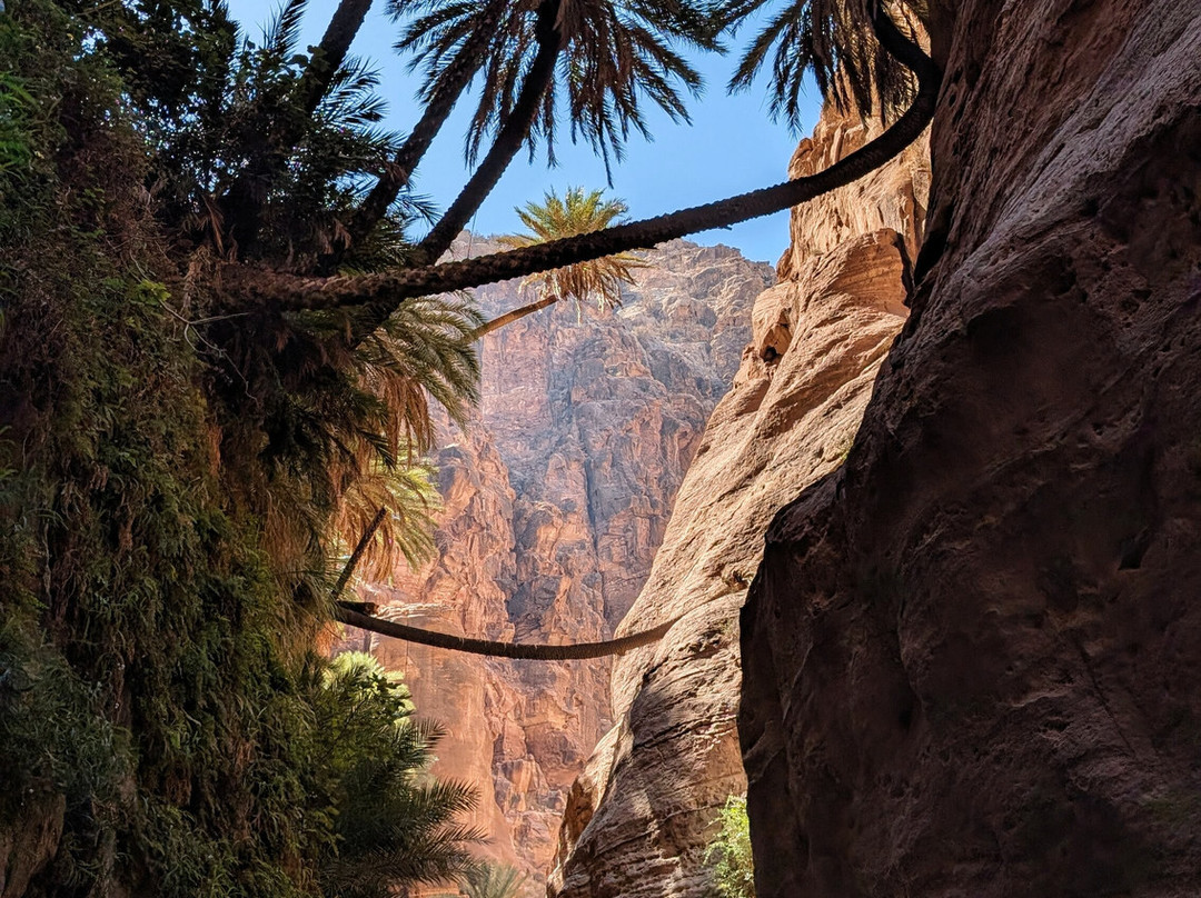 Jordan Trail Guide-佩特拉必去景点