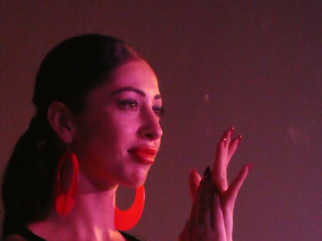 Hipotels Hipocampo Playa主图