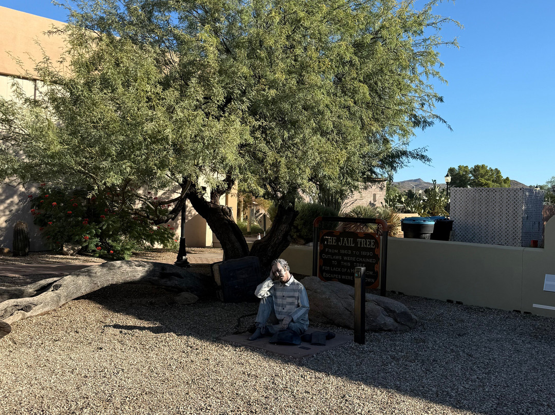 The Jail Tree-Wickenburg必去景点