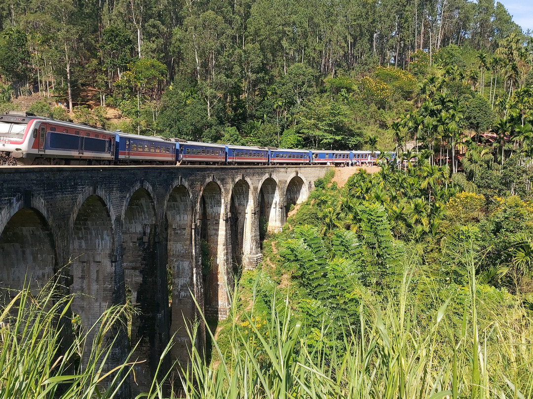 V Travel Sri-Lanka Excursions-科斯戈德必去景点