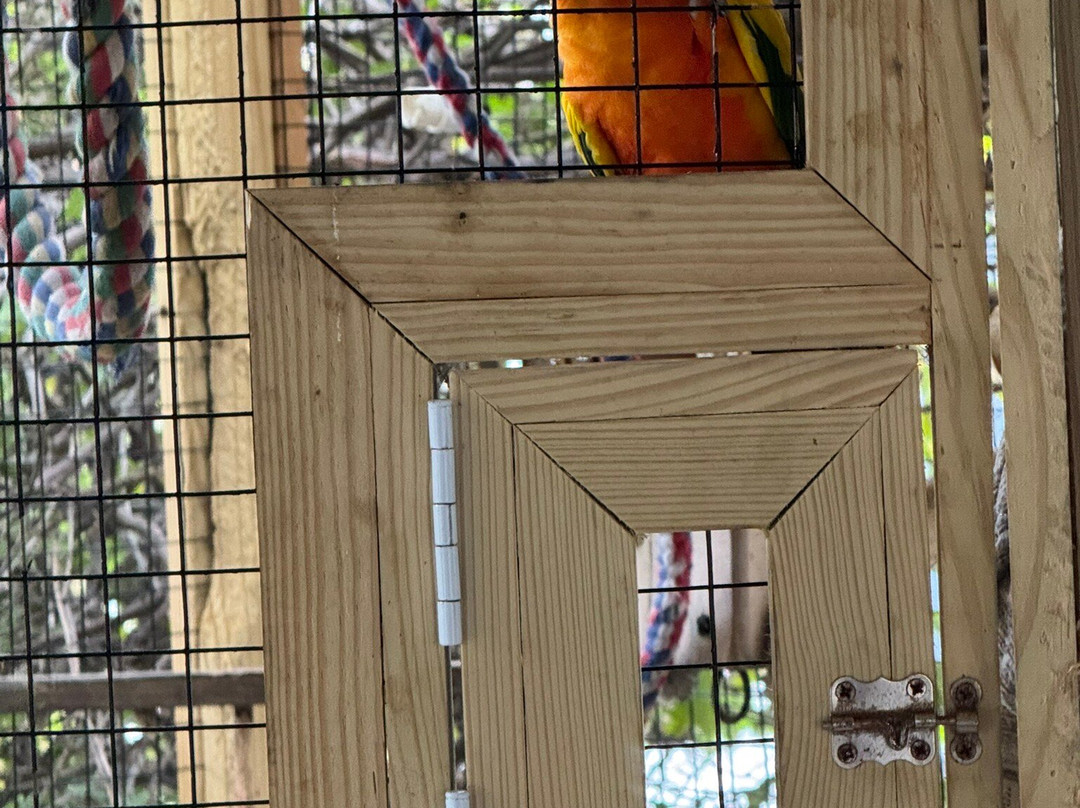 Barefoot Mailman Inn & Suites, Lantana, West Palm Beach, South Florida主图