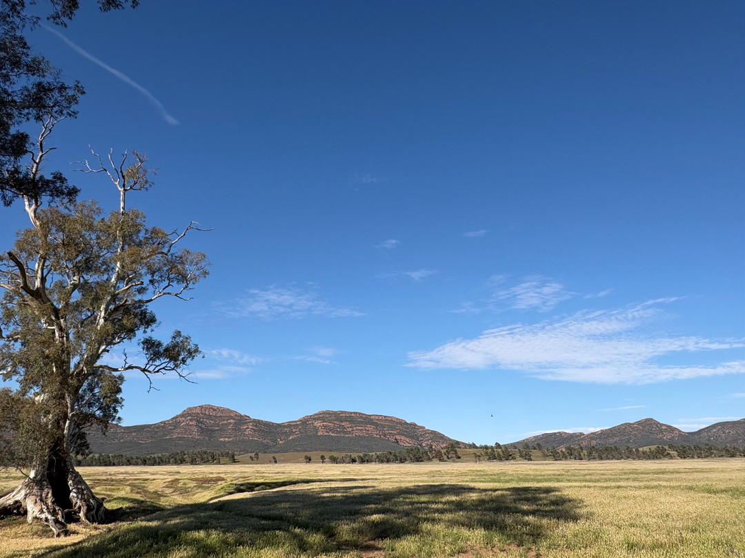 Gekko Safari - Outback Tours-Belair必去景点