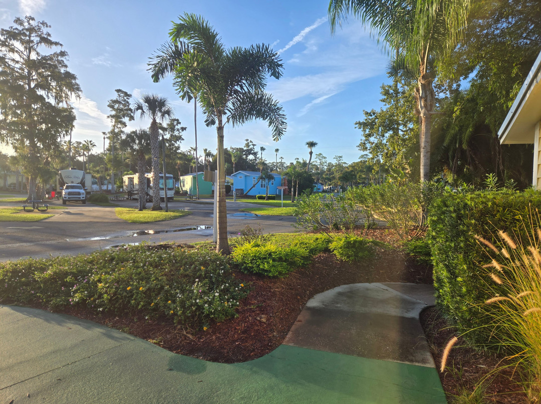 Encore Tropical Palms主图