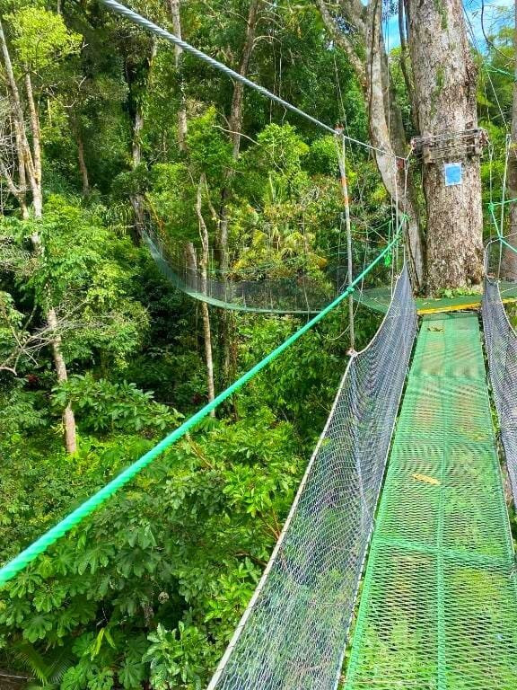 Mountain Top Park-哥斯达黎加安东尼奥国家公园必去景点