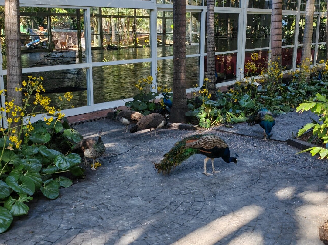 Jardines de la Marquesa-Arucas必去景点