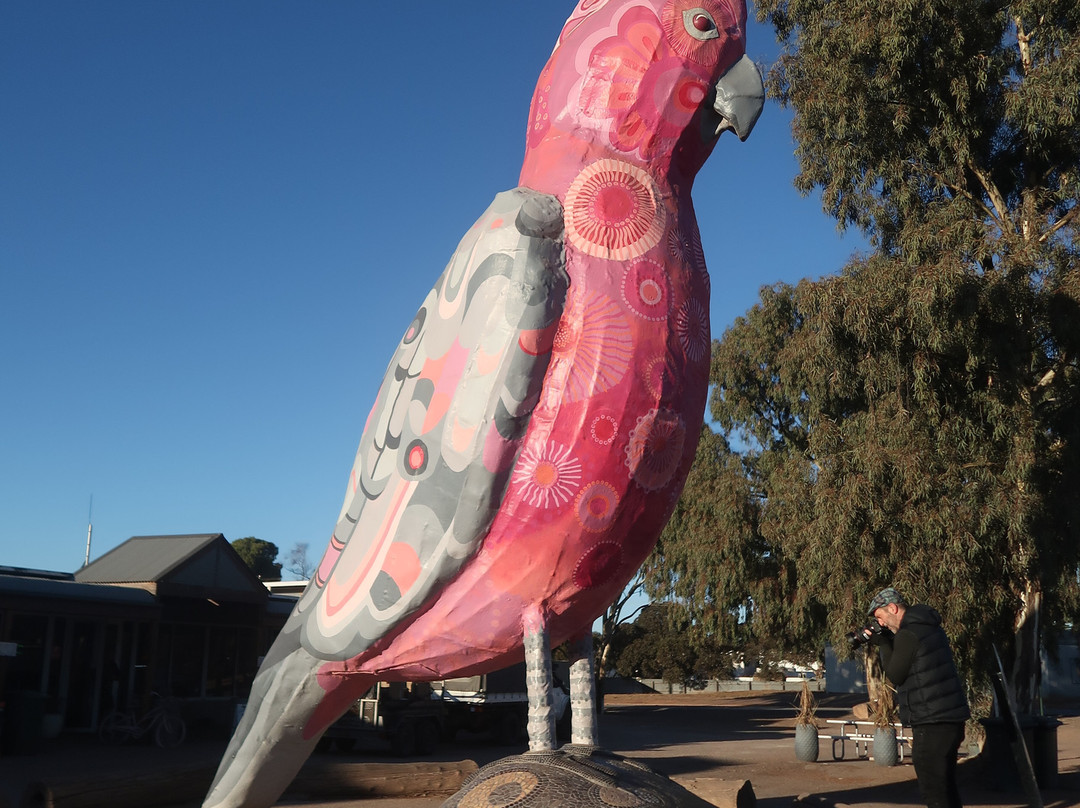 The Big Galah-Kimba必去景点