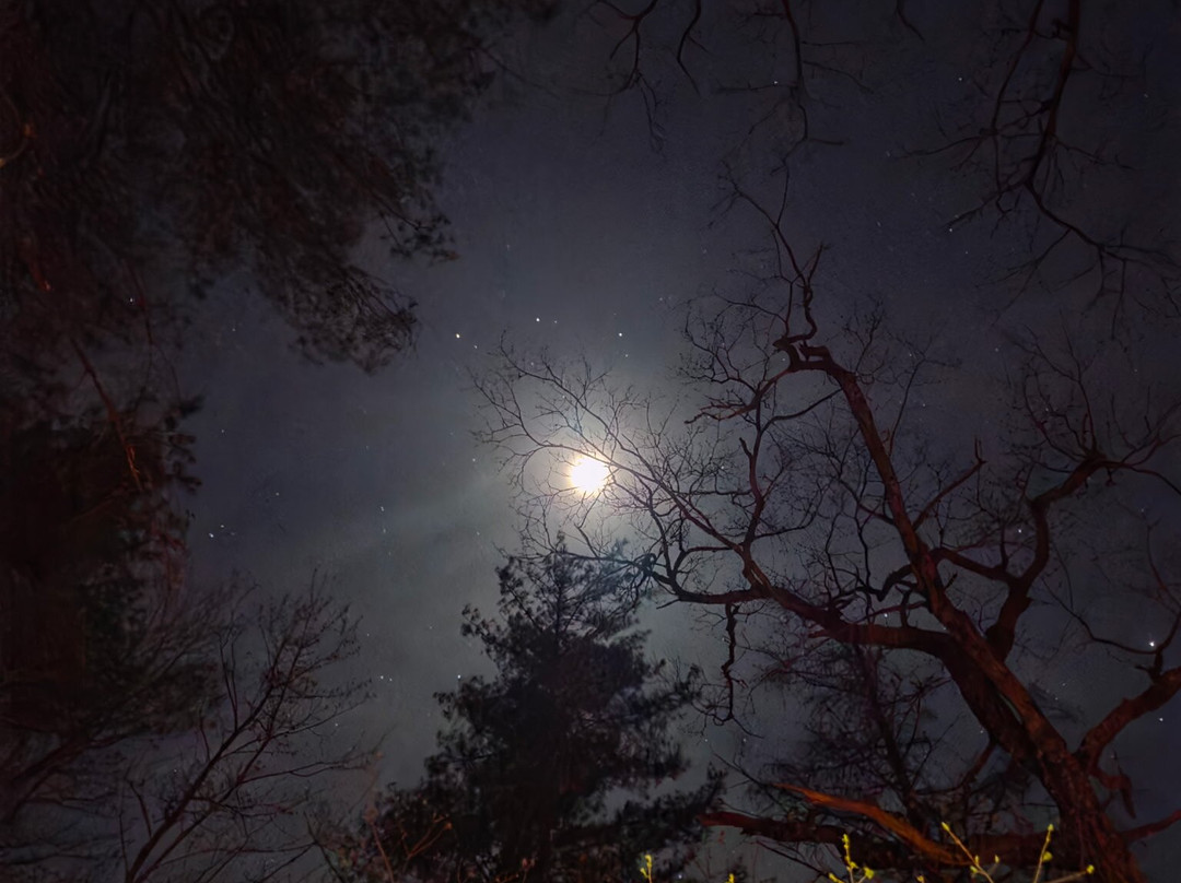 Smoky Mountain Sky Camp