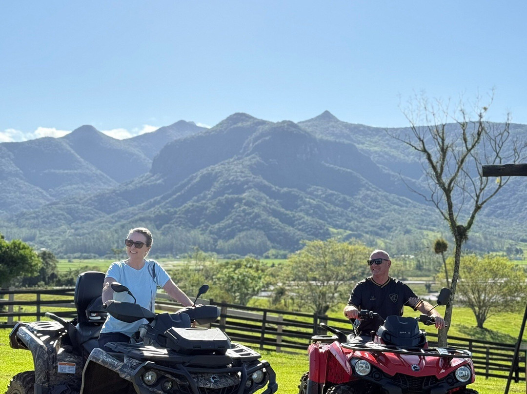 Pousada Di Venezia主图