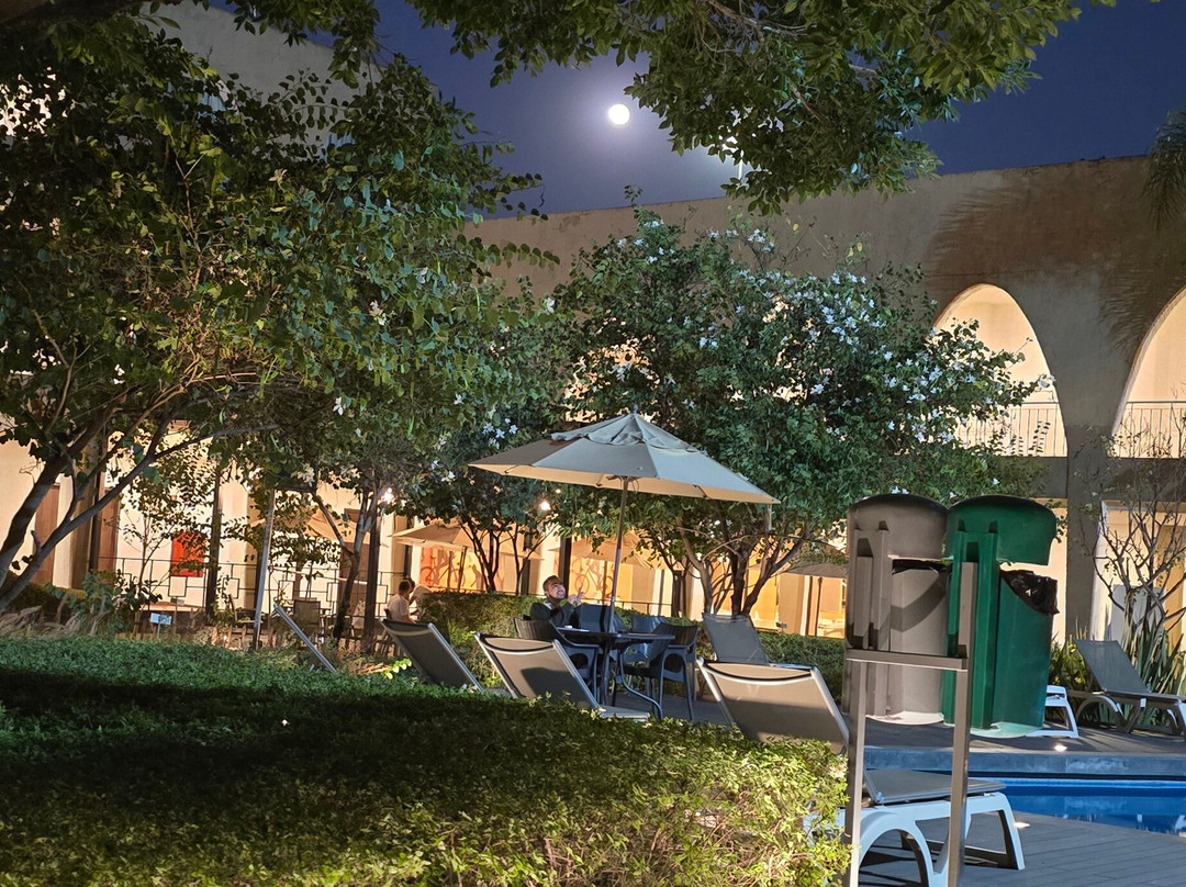 费斯塔客栈酒店主图