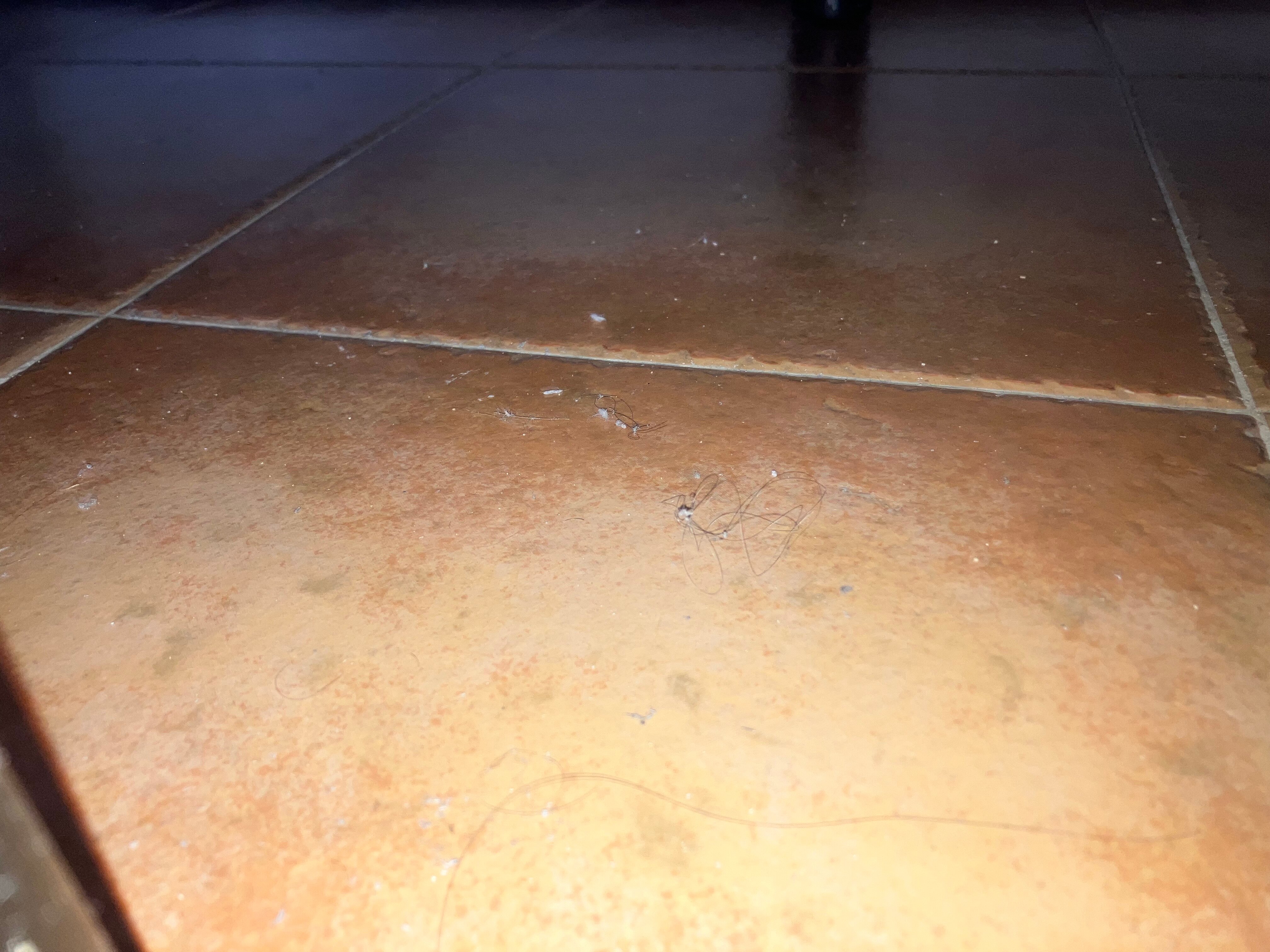 Hotel Bell Port-客卧