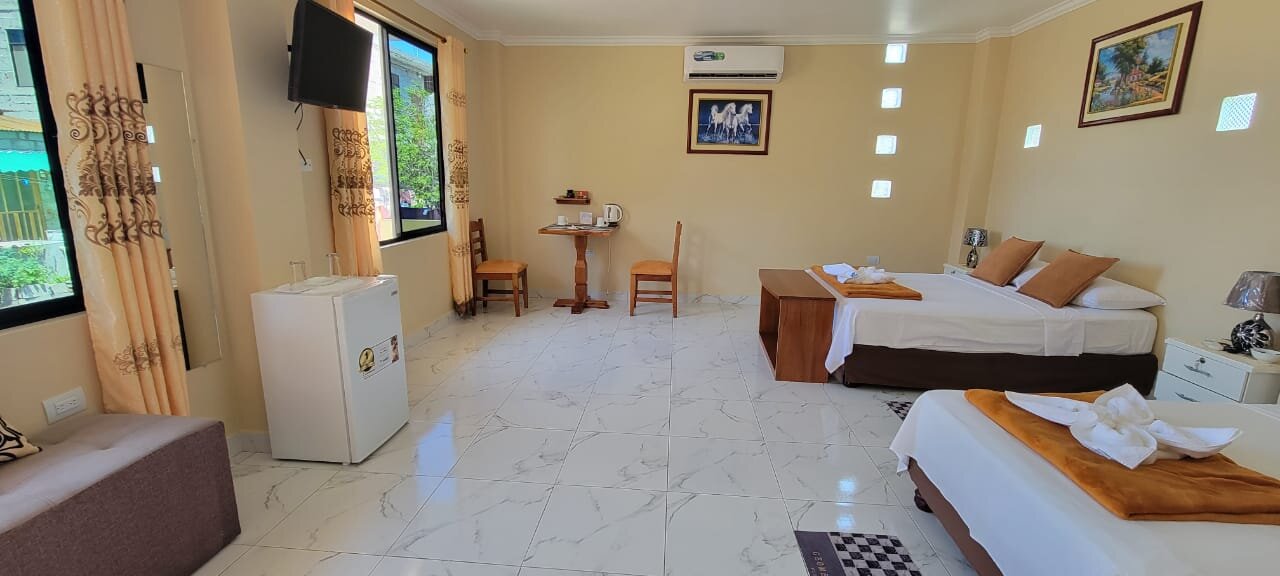 Hospedaje Romy-客卧