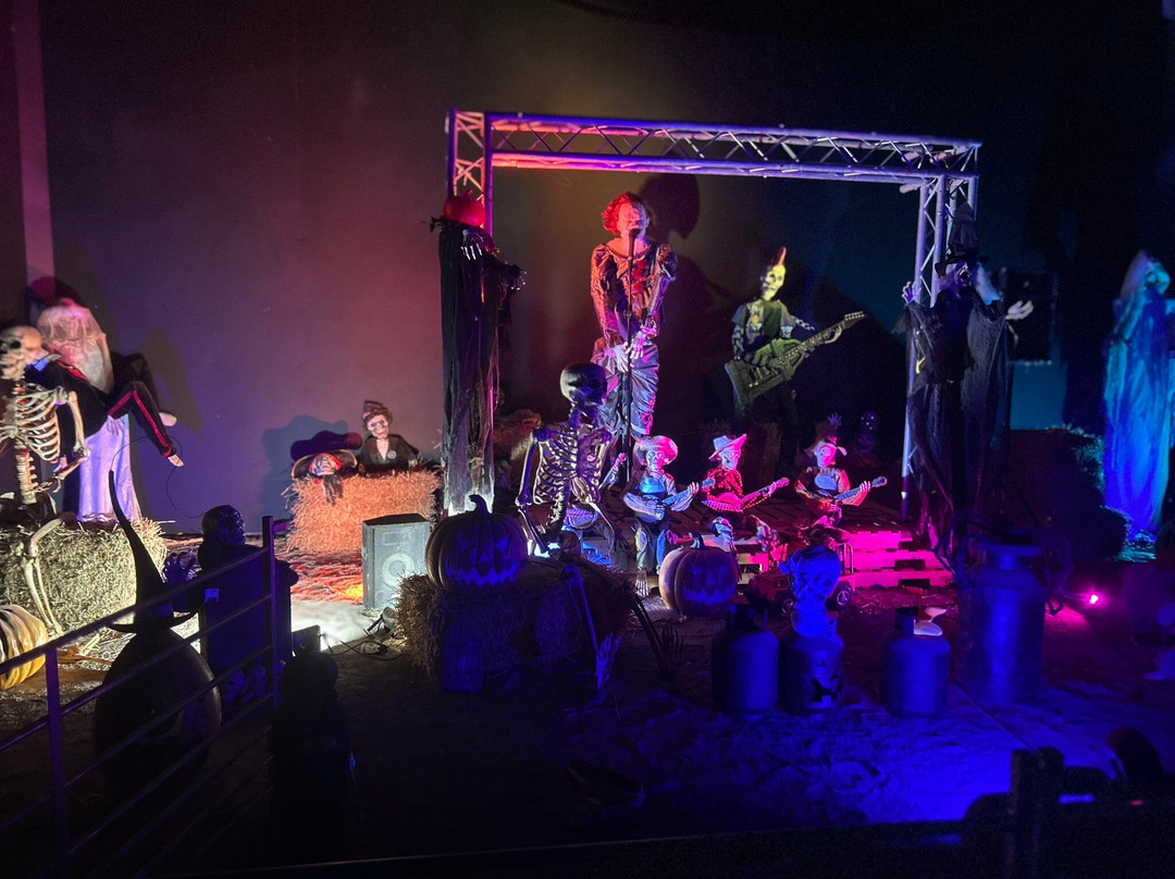 Pumpkin Time @ Sunnyfields Farm-Totton必去景点