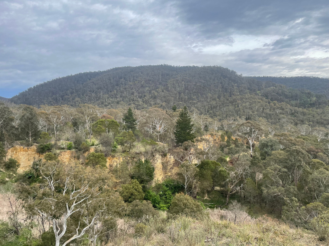 Pioneer Lookout-Omeo必去景点