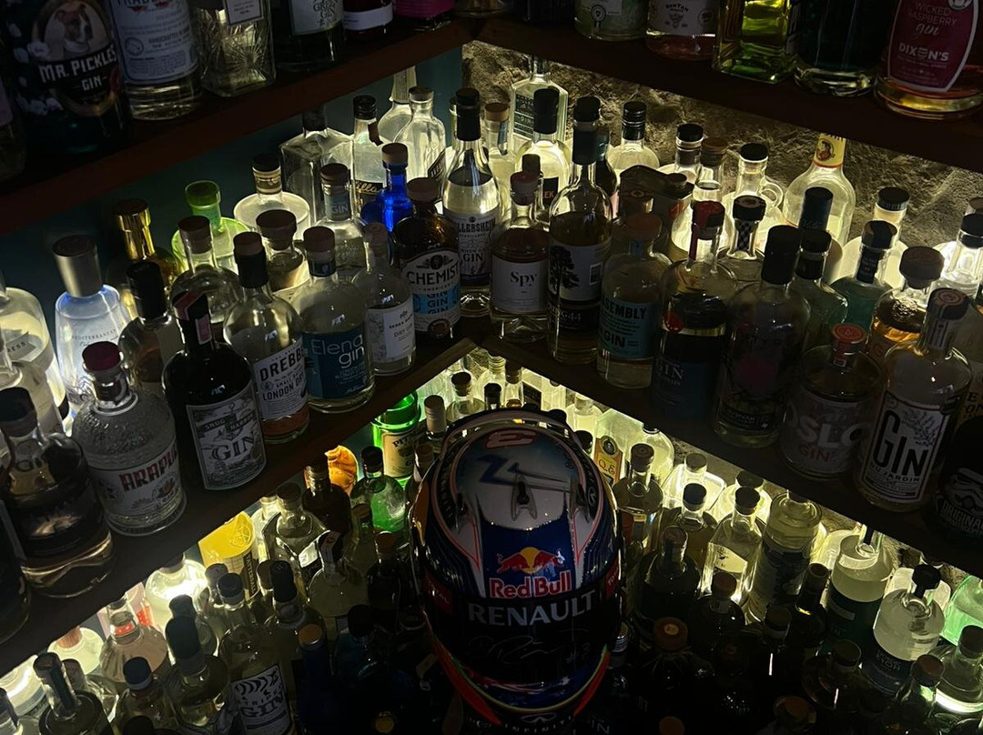 The Gin Library-蓬塔德尔加达必去景点