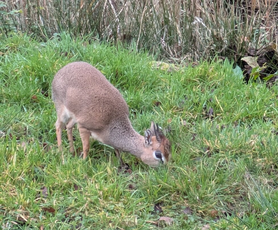 Peak Wildlife Park-Winkhill必去景点