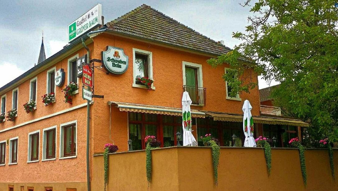 Waldbrunn酒店住宿-Hotel- Restaurant Grüner Baum