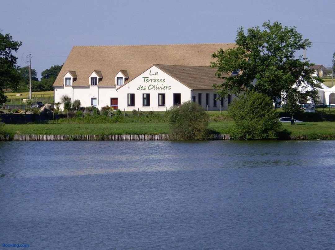 Mayet酒店住宿-La Terrasse des Oliviers