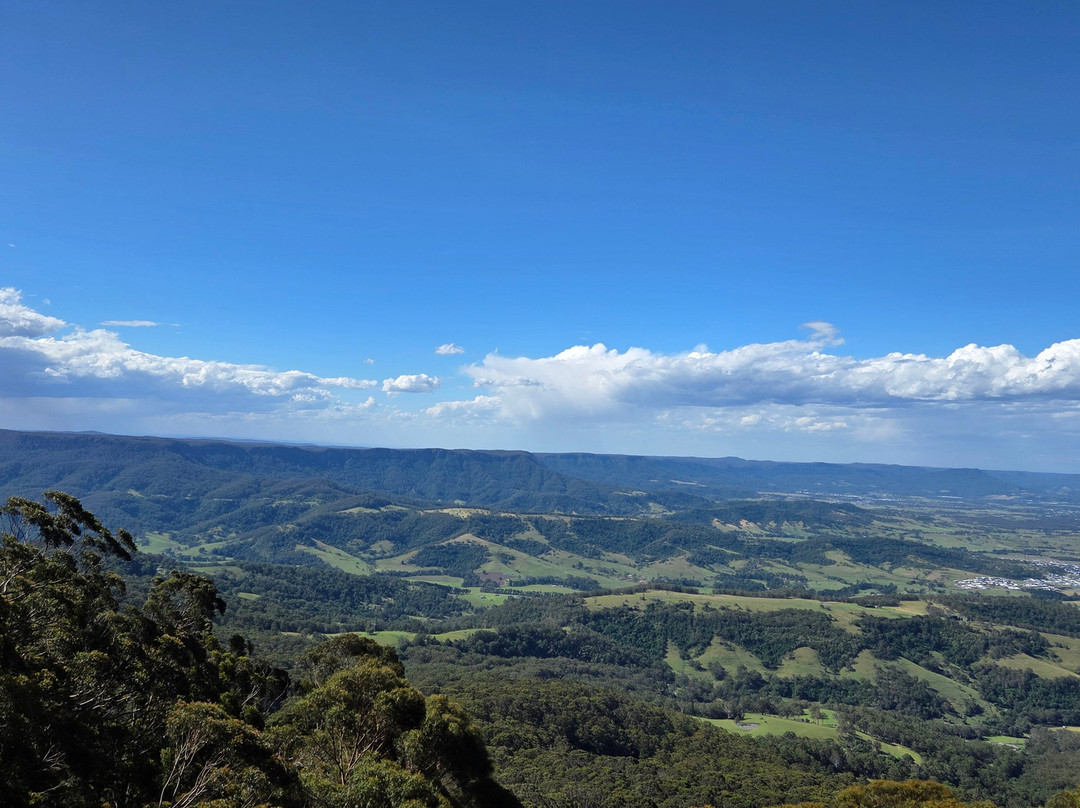 Illawarra Fly Treetop Walk-Knights Hill必去景点