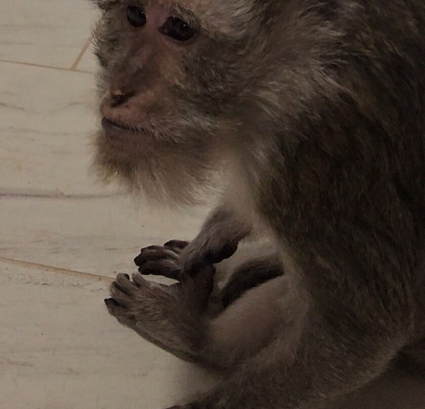 Wild Acres-McHenry必去景点