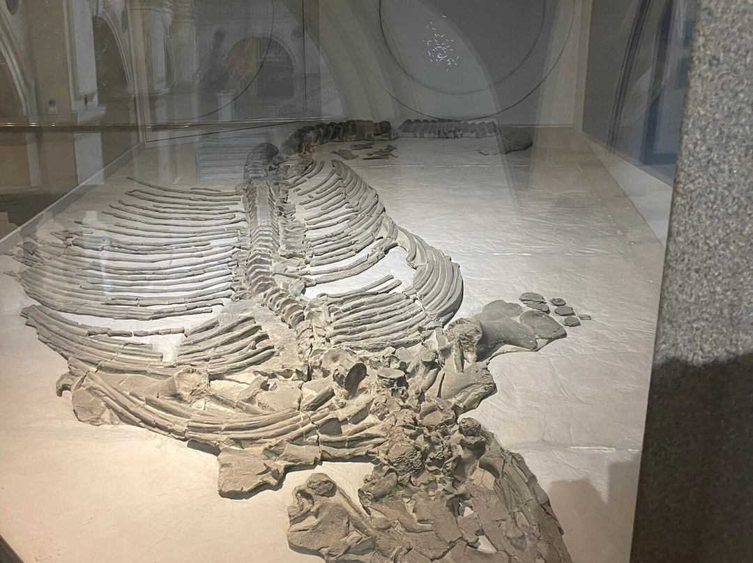 布里斯托尔博物馆和艺术画廊-布里斯托尔必去景点