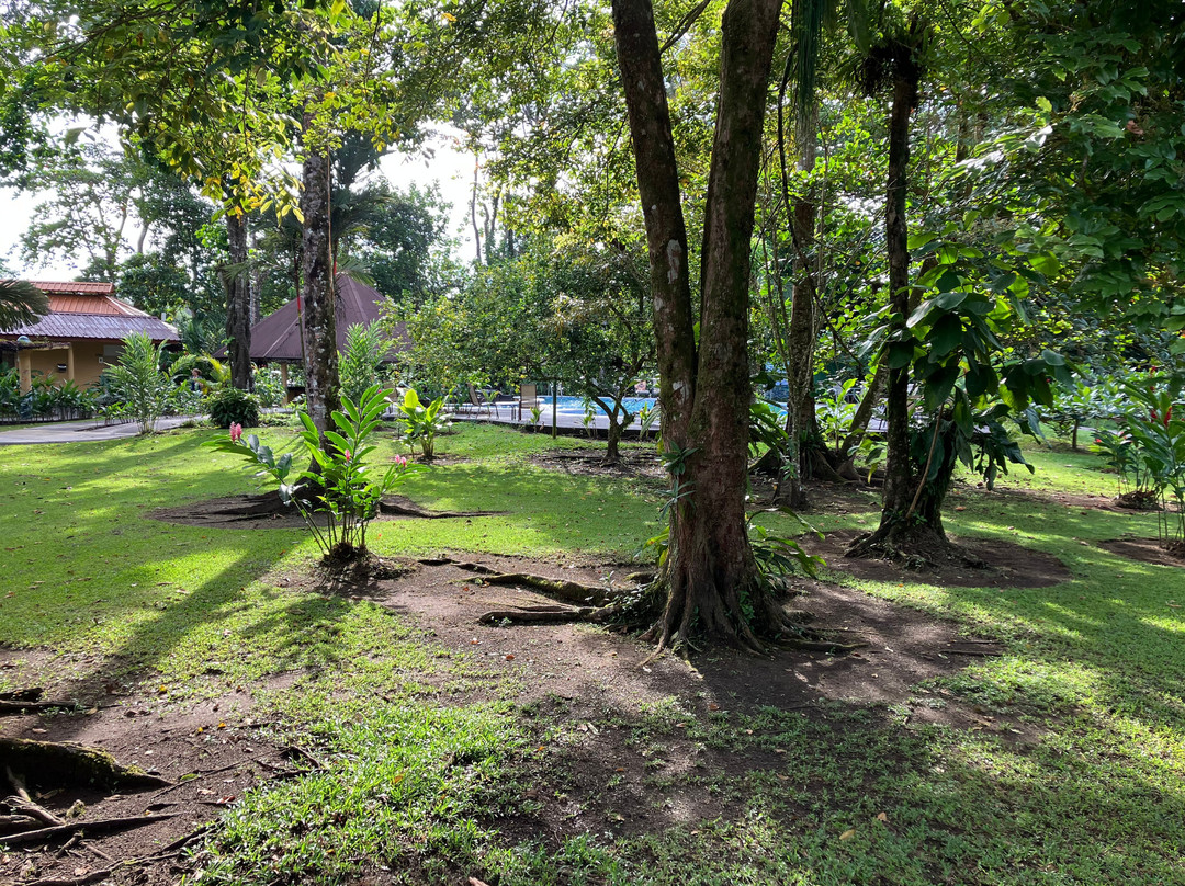 Laguna Lodge Tortuguero主图
