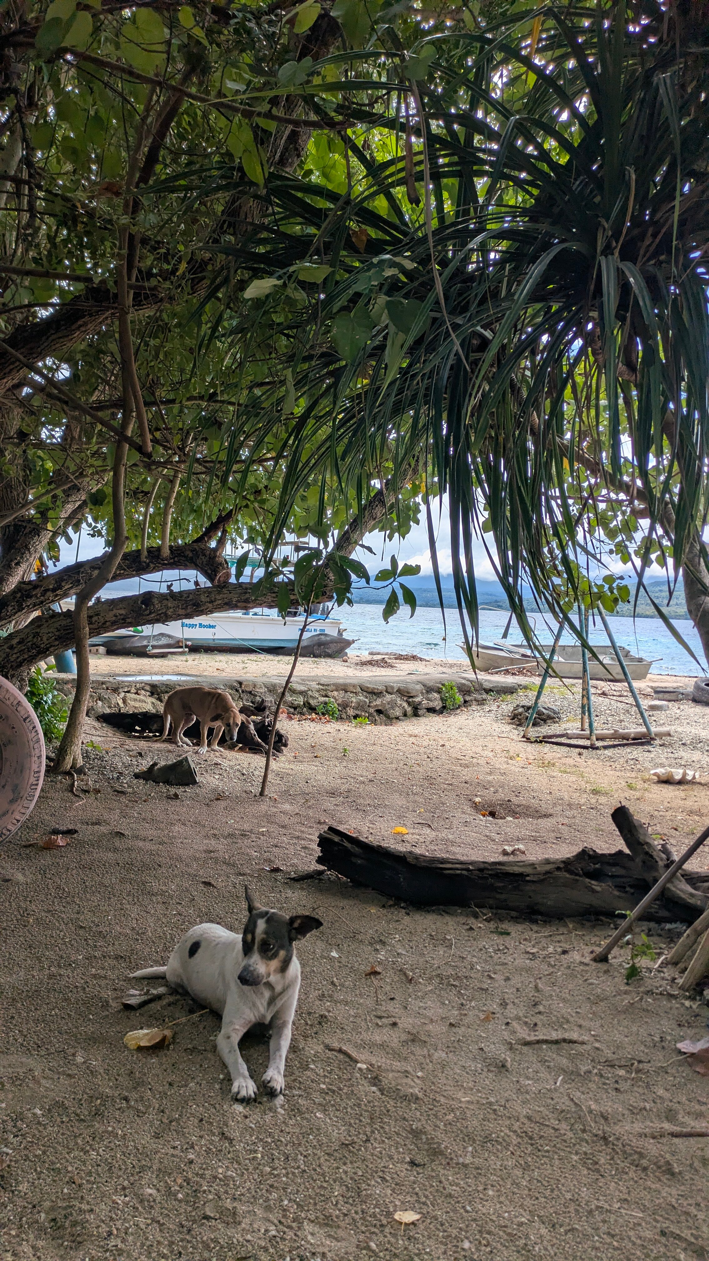 Tranquility Island Resort-官方