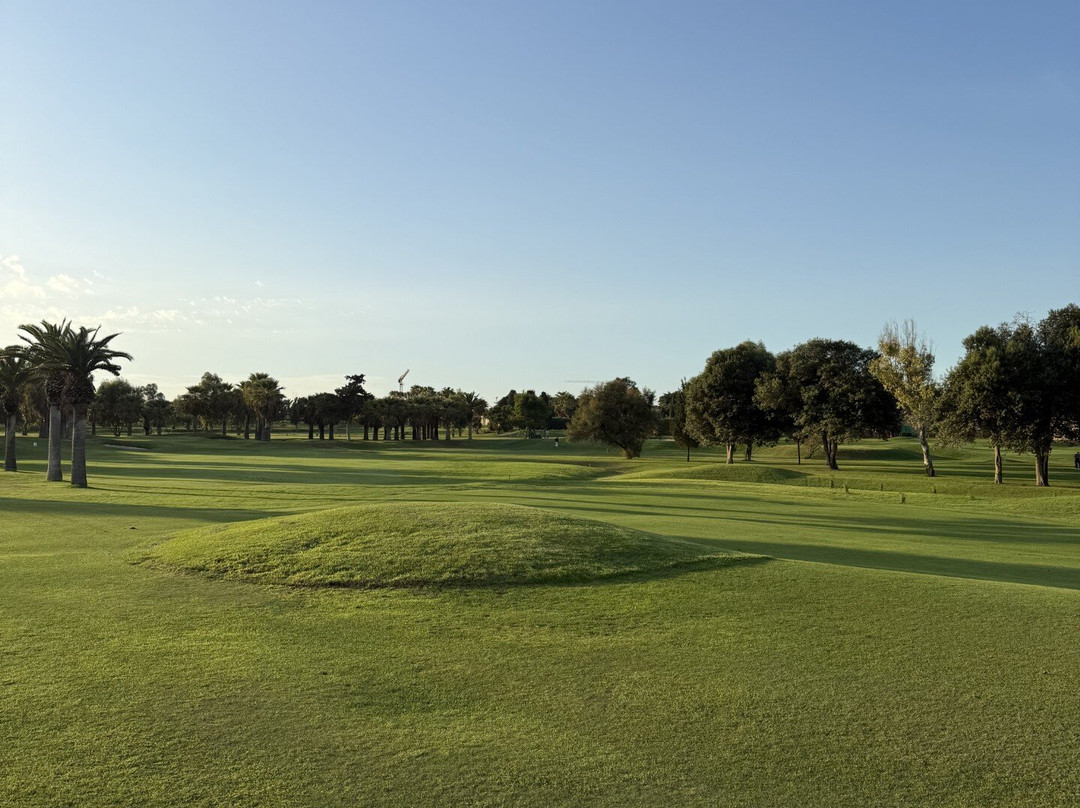 Royal Malta Golf Club-Marsa必去景点
