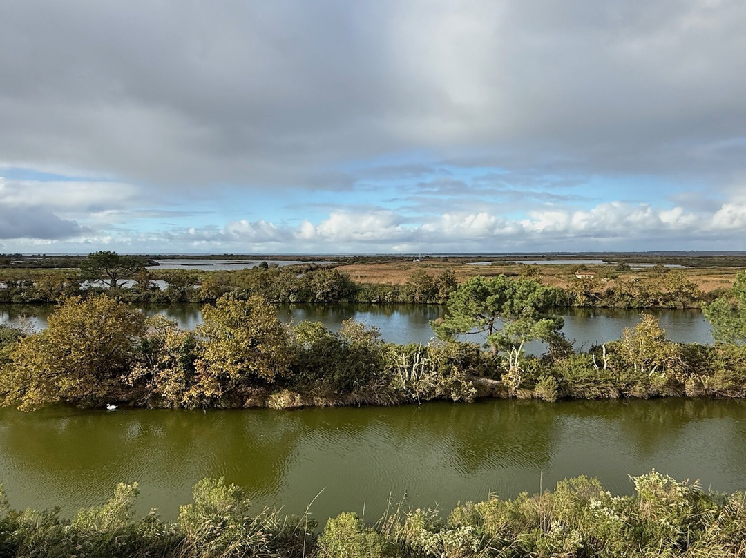 Réserve Ornithologique Du Teich-Le Teich必去景点