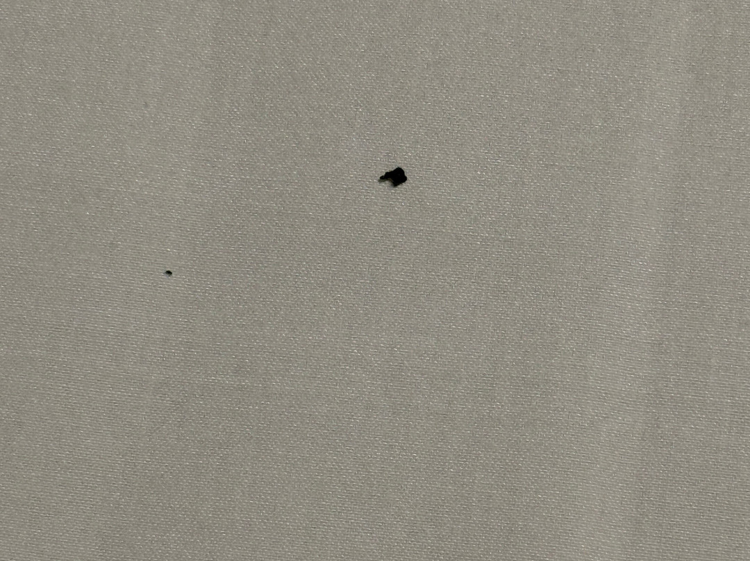 Trip Inn Conference, Hotel & Suites主图