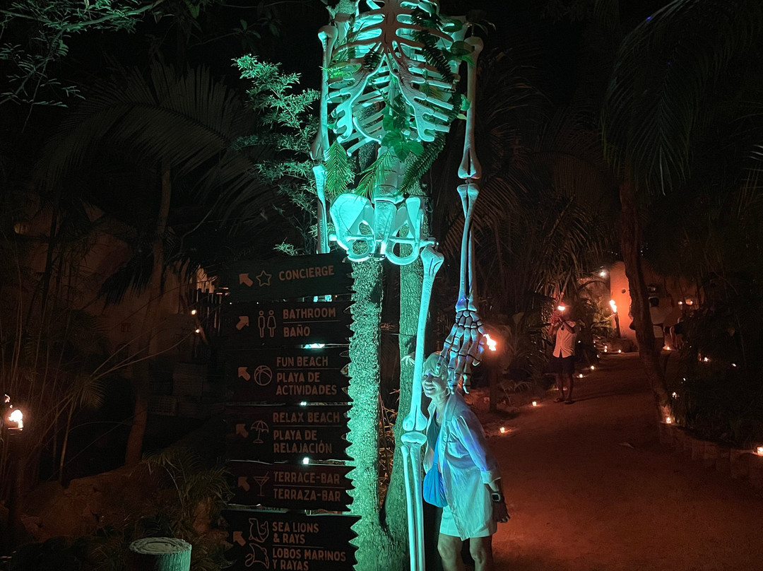 Rhythms of the Night by Vallarta Adventures-瓦拉塔港必去景点