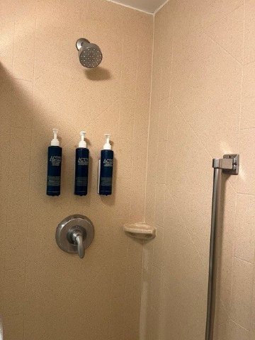 芝加哥韦斯贾斯特 - 橡树溪福朋喜来登酒店-浴室