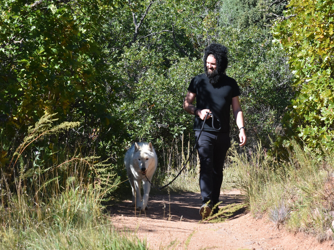 Colorado Wolf Adventures-Woodland Park必去景点