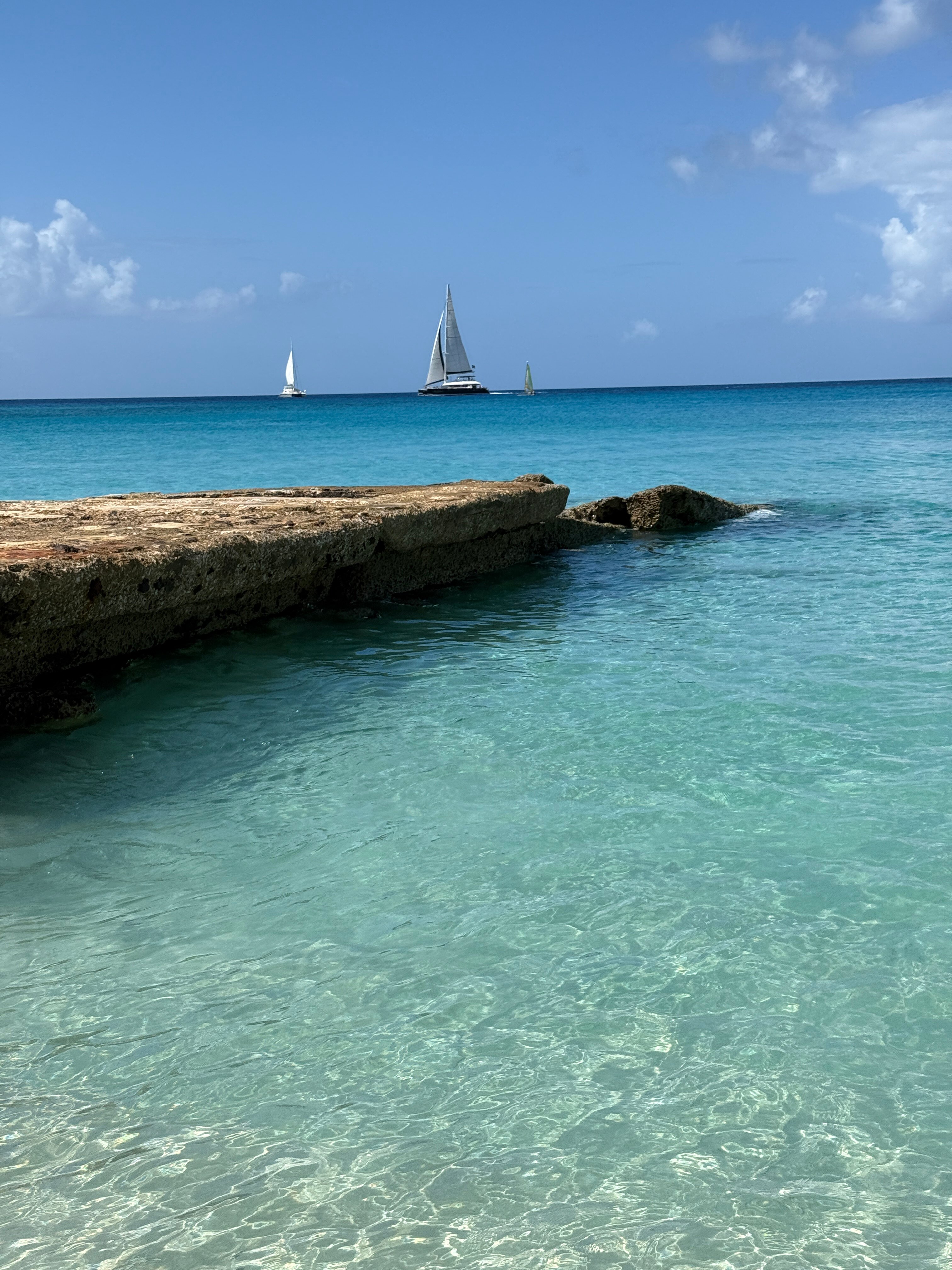 费尔蒙特皇家庭园酒店-泳池