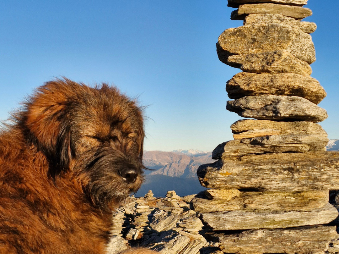 Sar Outdoors-阿姆利则必去景点