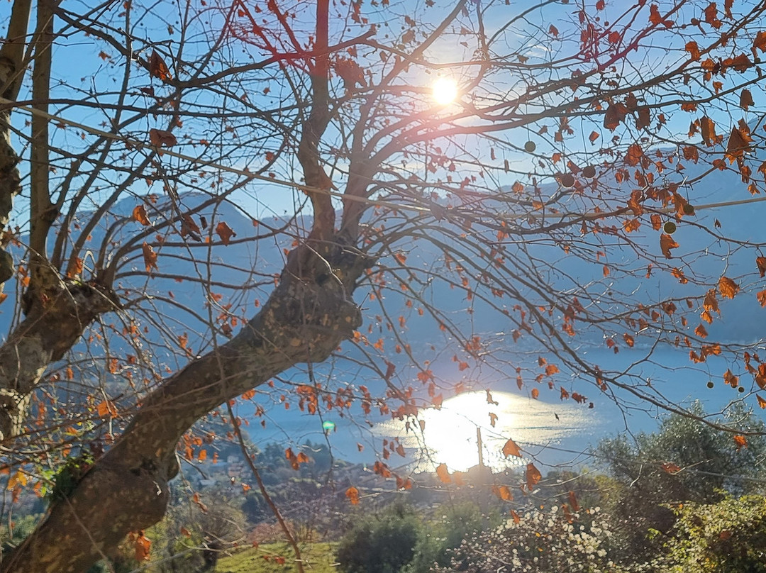 Santuario Madonna Del Soccorso-Ossuccio必去景点