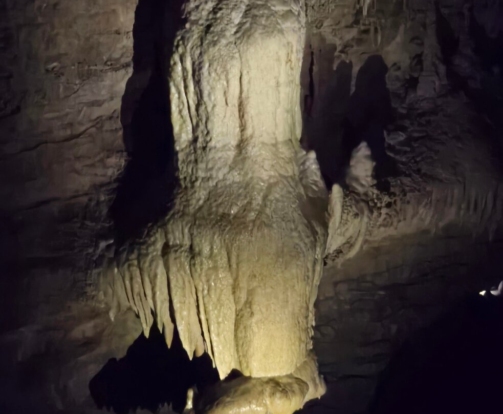 Footwhistle Glowworm Cave-怀托摩洞穴必去景点