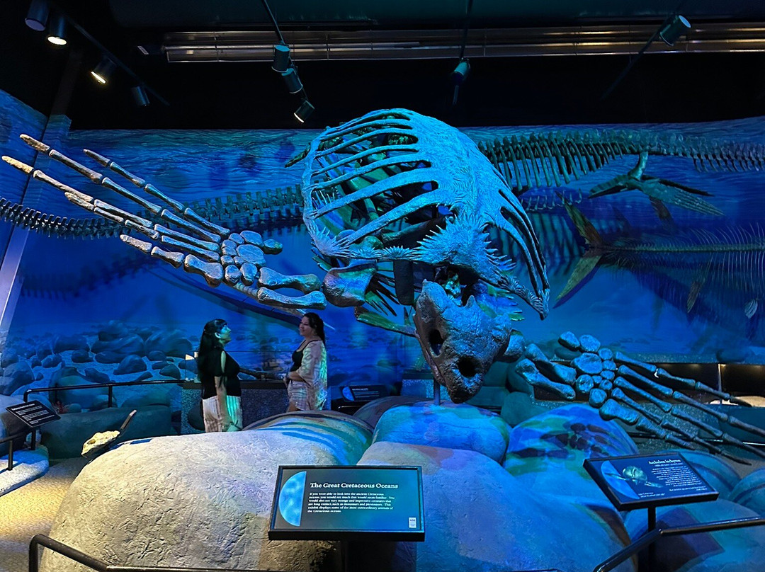 Mountain America Museum of Ancient Life-李海必去景点