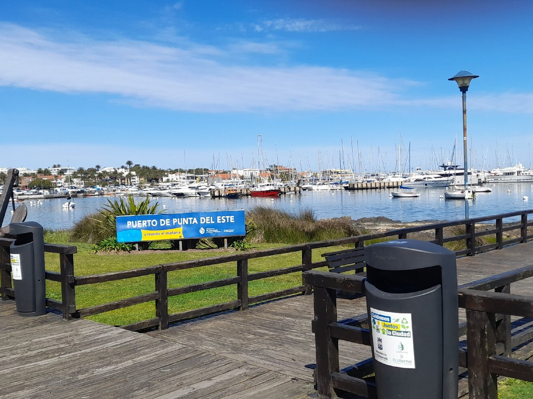 波多黎各德埃斯特角城-埃斯特角城必去景点