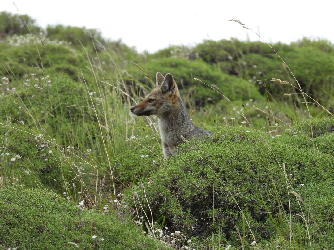 Iso100 Outdoor-Torres del Paine必去景点