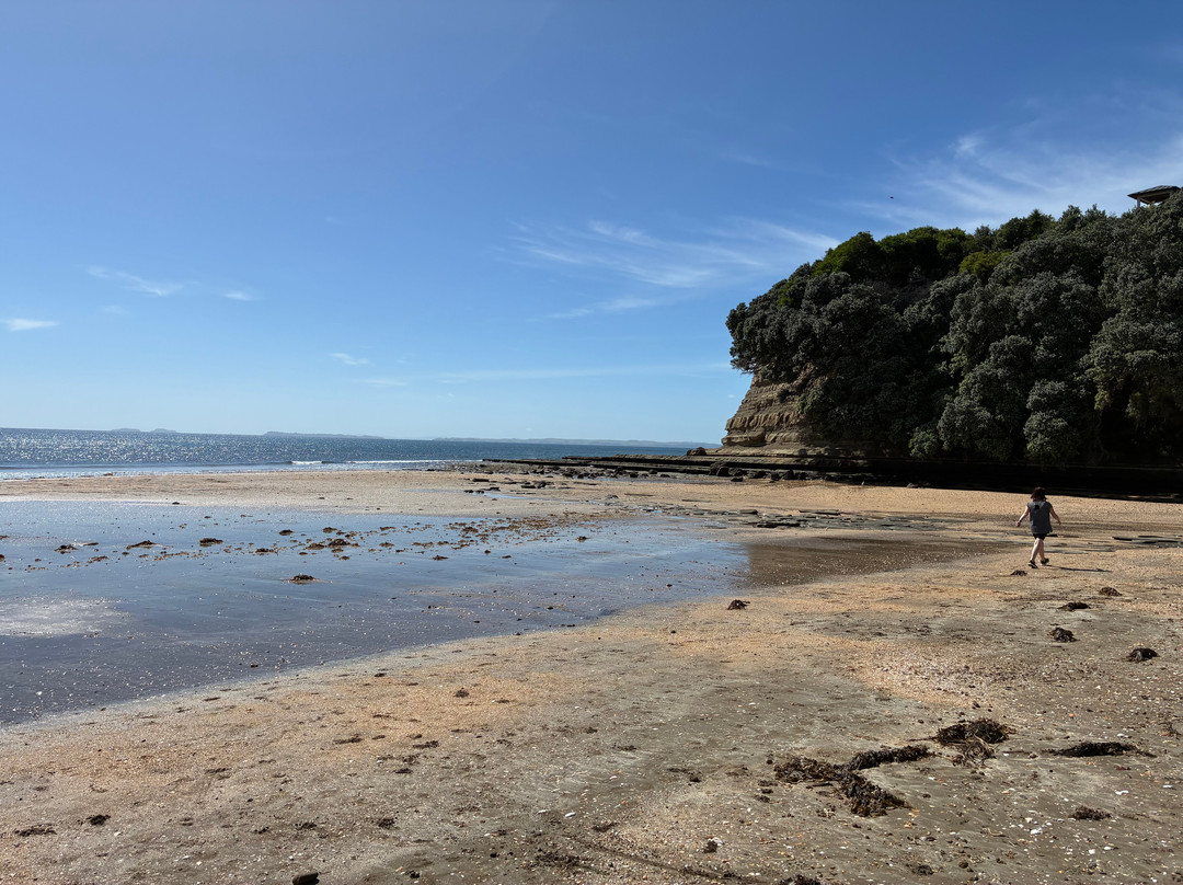 Long Bay Beach-Long Bay必去景点